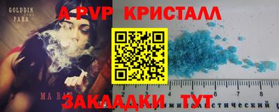 стафф Дубна