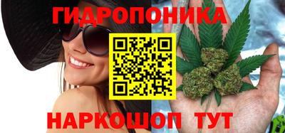 стафф Дубна