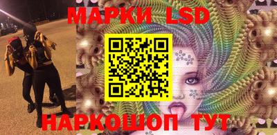 стафф Дубна