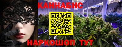 стафф Дубна
