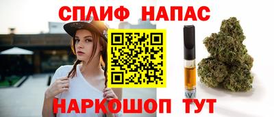 стафф Дубна