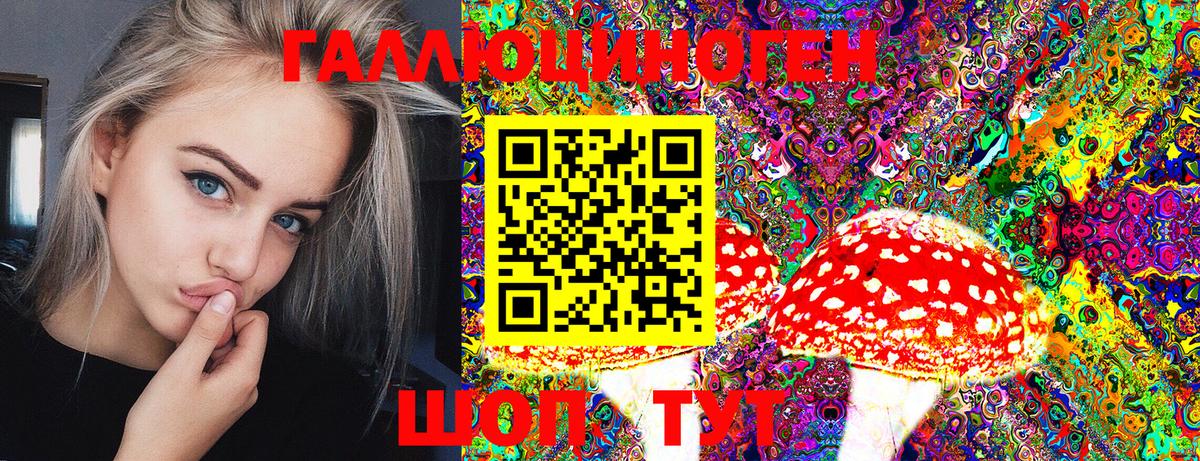 Псилоцибиновые грибы Cubensis Тихорецк